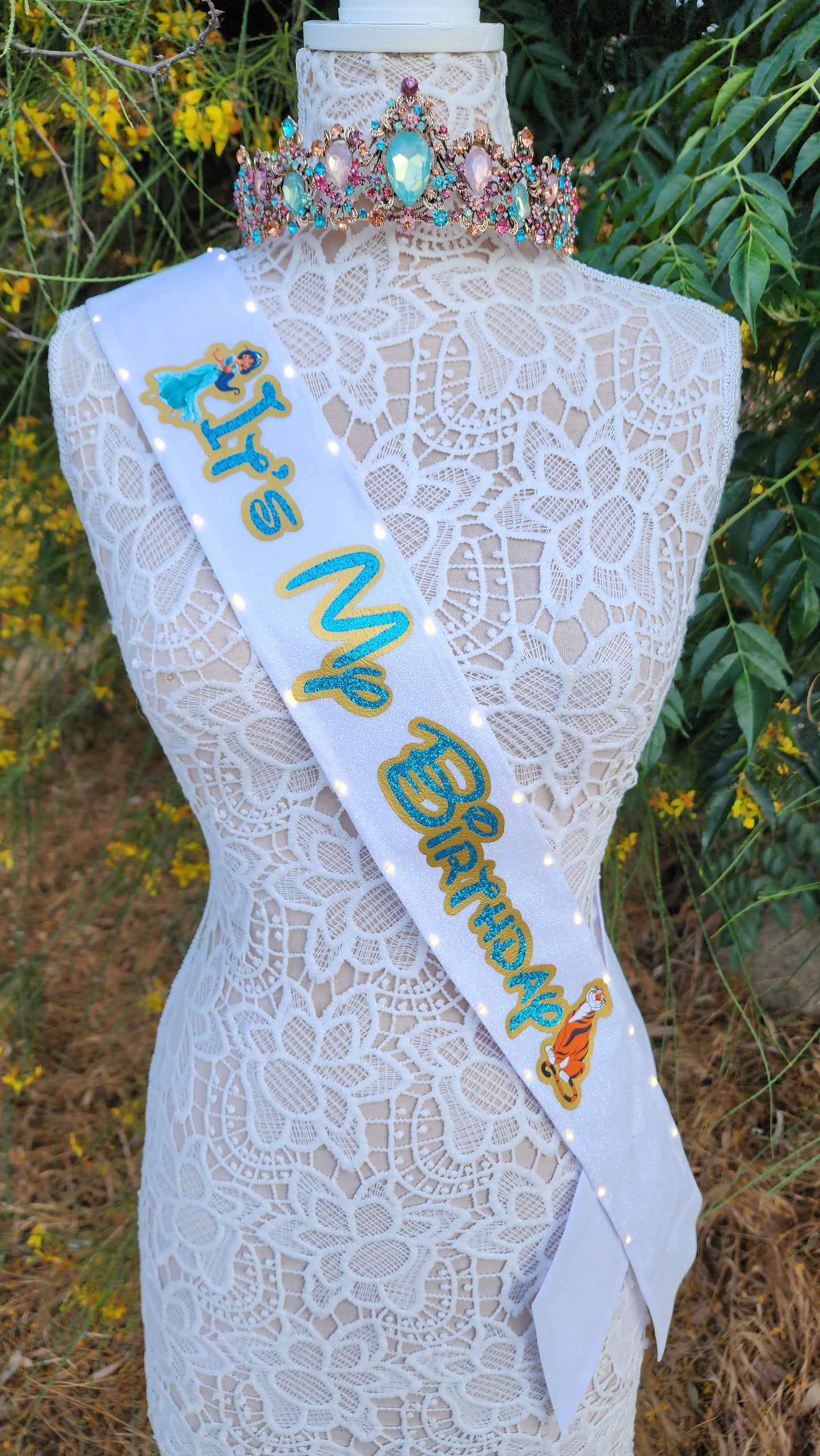 Whole New World Princess Light Up Birthday Sash | Light Up Birthday Celebration LED Party Accessory