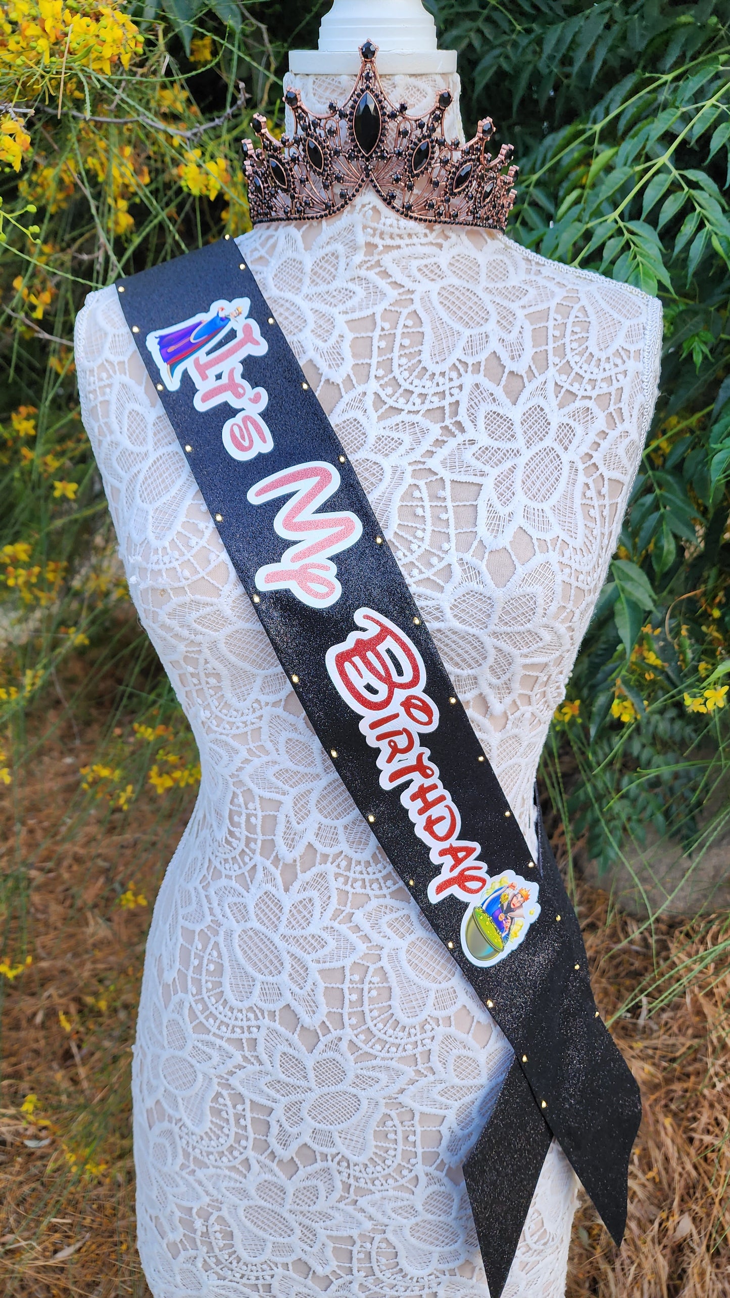 Poisoned Apple Queen Light Up Sash | Birthday Celebration LED Party Accessory